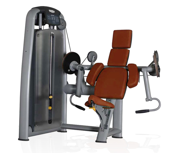BFT2003肱二頭肌訓練器 室內健身器材大全批發大圖展示1