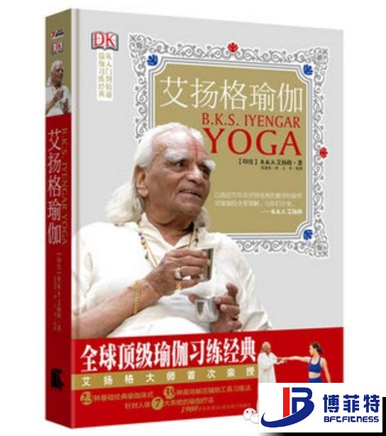 艾揚格瑜伽：精準習練指南