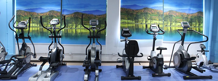 草莓视频APP在线下载健身車