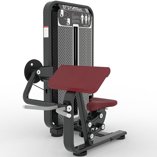 坐式二頭肌彎舉訓練器 肱二頭肌訓練器材 商用健身房器械草莓视频污黄直銷