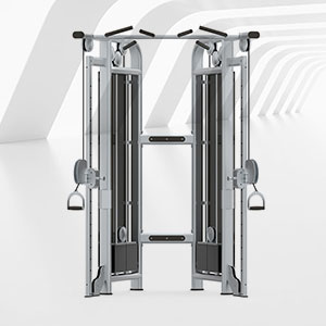 BFT-3025C小飛鳥訓練器小飛鳥健身器材草莓视频污黄