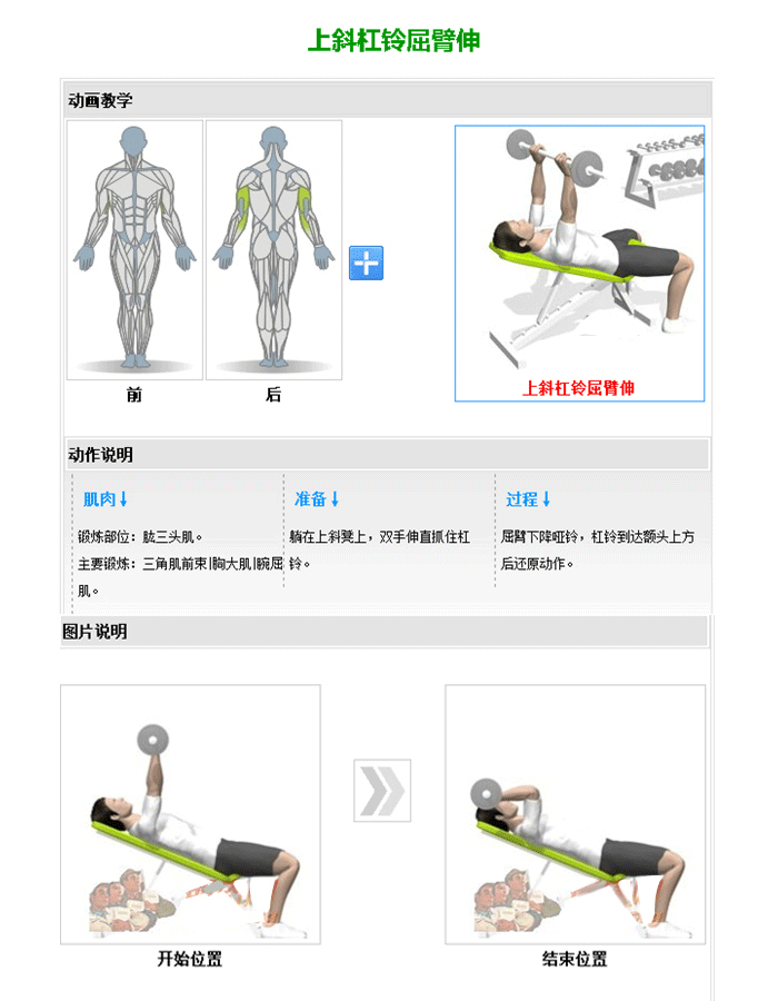 可調啞鈴訓練椅 推舉啞鈴訓練器 草莓视频APP在线下载室內健身器材